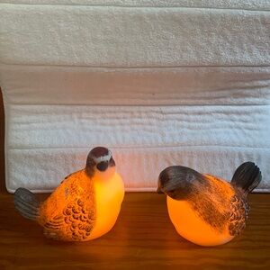 Candle Impressions Set of 2 Woodpeckers Illuminated Wax Birds